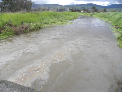 Diesel fuel spills into Llagas Creek