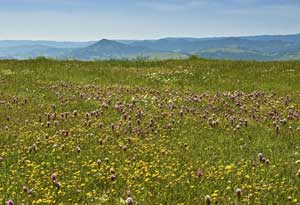 GETTING OUT: ‘More-than-meets-the-eye’ lessons from Coyote Ridge