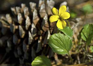 GETTING OUT: Are these friends of yours?