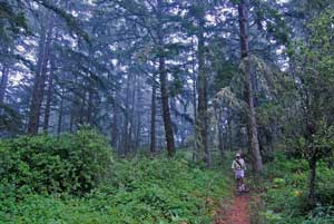 ERSKINE: Help keep parks open forever