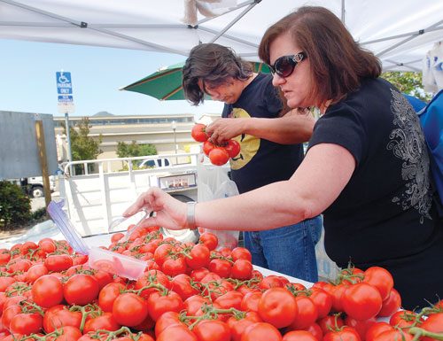 In the market for fresh