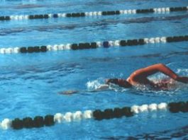 SWIMMING: Bulldogs nearly capture second straight league title
