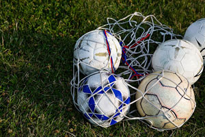 MH nonprofit eager to take over sports fields