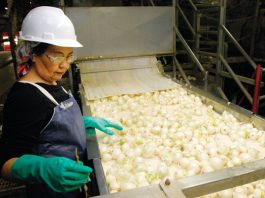 Police cracking down on 4th of July drunk driving