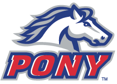 BASEBALL: Pony, Pinto All-Stars advance at Sectionals