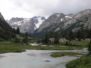 GETTING OUT: Forces of nature