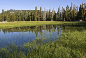 GETTING OUT: Adventures near Tahoe City