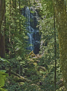 GETTING OUT: Big Basin loop features ‘world-class sights’