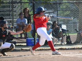 SOFTBALL: Morgan Hill’s Mitchell powers Gilroy Little League team to Regionals