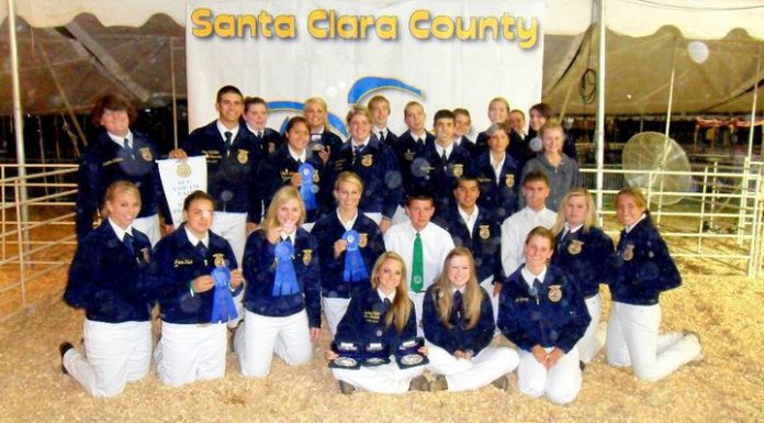 Sobrato FFA scores big at county fair