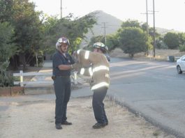 Firemen rescue kitten from tree