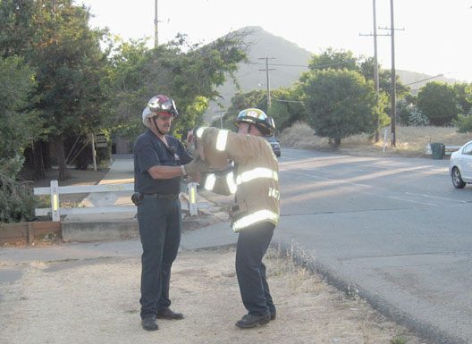 Firemen rescue kitten from tree