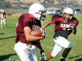 FOOTBALL: ‘Dogs reloaded for beyond 2010
