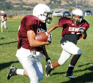 FOOTBALL: ‘Dogs reloaded for beyond 2010