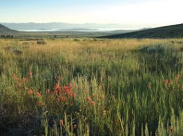 GETTING OUT: Finding solace in nature