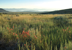 GETTING OUT: Finding solace in nature