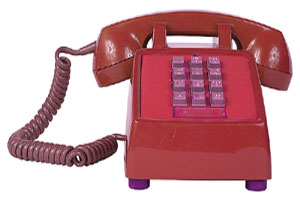 Red Phone: All dogs must be confined or on a leash