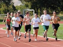 CROSS COUNTRY: Acorns growing behind Groen