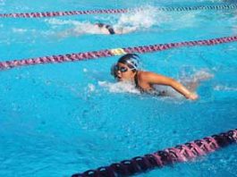 SWIMMING: Makos keep pace in fast first meet of short course season