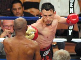 BOXING: Guerrero headed back to the ring
