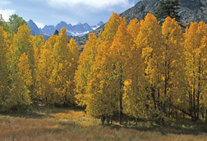 GETTING OUT: Now is the time to visit eastern Sierra