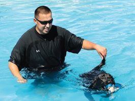 A splash bash