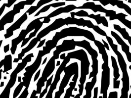 Body found behind Arteaga’s not yet identified