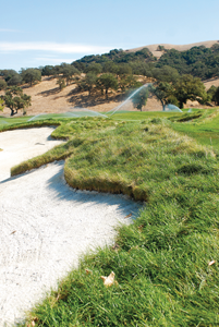 GOLF: Financial impact of Frys already showing