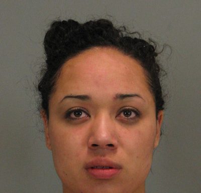 Pot plants found in Morgan Hill home