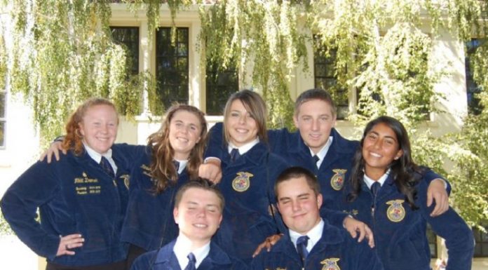 FFA takes home several awards at area contest