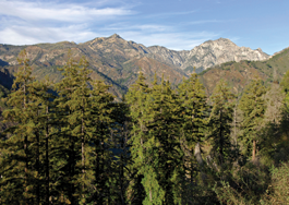 GETTING OUT: Bring your stamina to Big sur