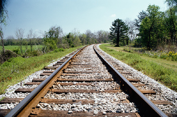 Council asks for another bullet train option