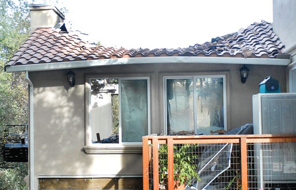 Six dogs die in blaze