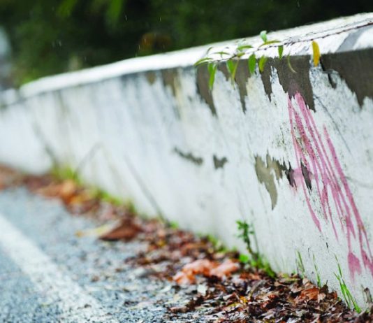 Gang graffiti on the rise