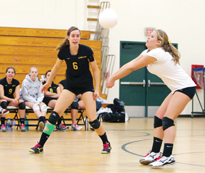 Cinkova named MVP; eight locals earn all-league honors