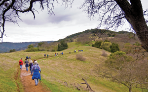 GETTING OUT: Get out and live on New Year’s