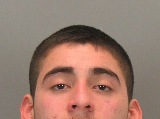 Goat found hog-tied in trunk of Nissan Sentra