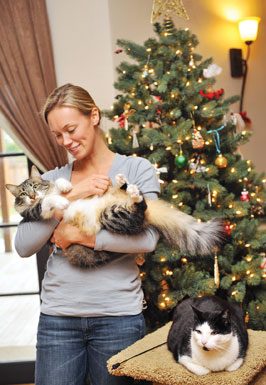 Furry bundles of joy