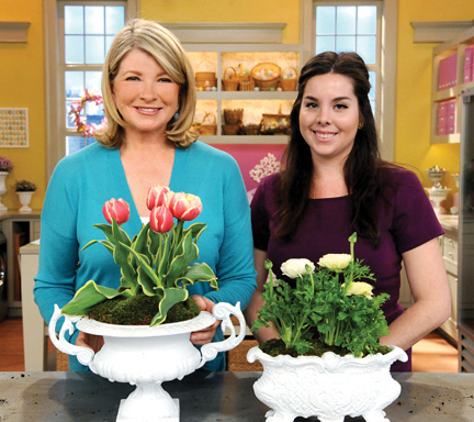 A crafter’s dream come true