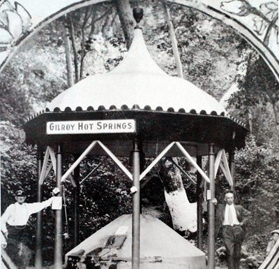 Springing back to life