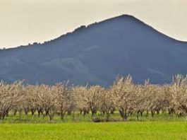 El Toro mountain hike canceled