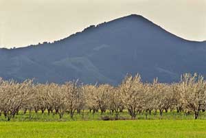 El Toro mountain hike canceled