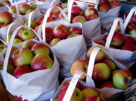 Farmers’ market opens season Saturday