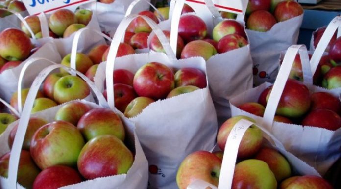 Farmers’ market opens season Saturday