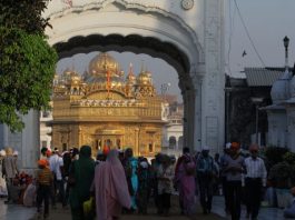 Journey to India: Gracious and grateful reflections