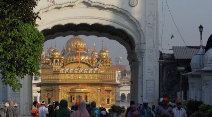 Journey to India: Gracious and grateful reflections