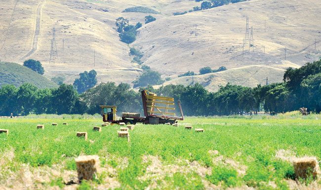 MH Values Youth Conference scheduled for Jan. 21