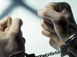 Police detain school board trustee at meeting