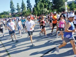 Guest view: County has unique interest in Delta health