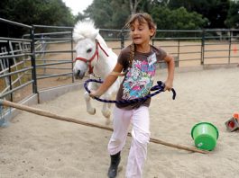 A helpful horse, of course